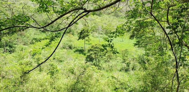 Fazenda 307 hectares localizada na Região sudene em Itambacuri, Leste de Minas Gerais - Foto 16