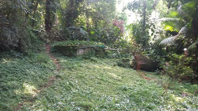 Lindo sítio em Guapimirim - Limoeiro oportunidade!!! - Foto 12