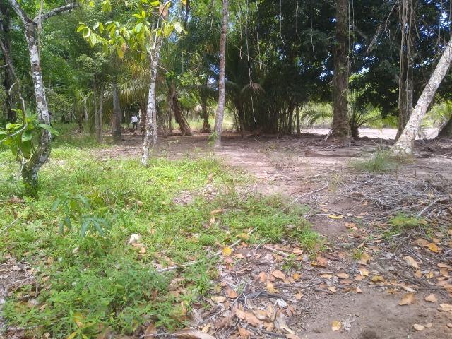 Venda Sítio as margens do Rio de Contas - Foto 7