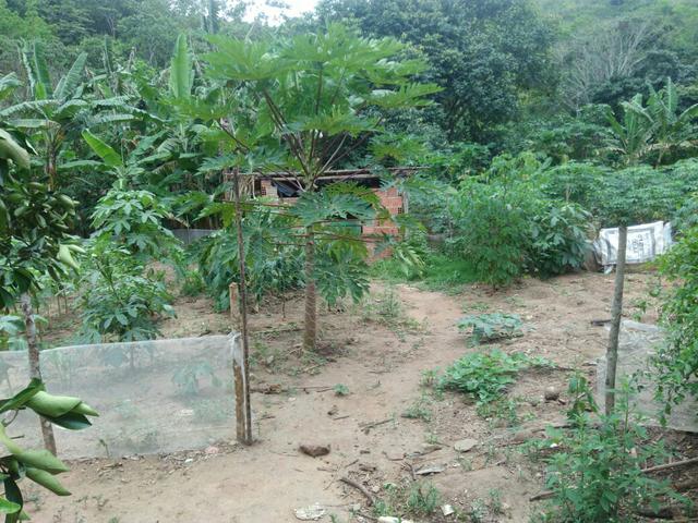Sítio lindo em bom jardim/ pe - Foto 2