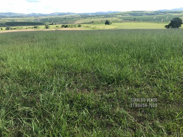 Fazenda em Nova Venécia ES com 25 alqueires (121 hectares) - Foto 2
