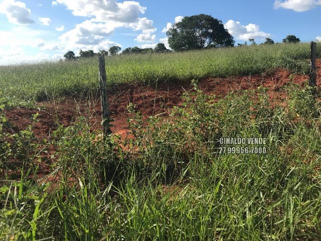 Fazenda em Nova Venécia ES com 25 alqueires (121 hectares) - Foto 3