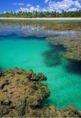 Lotes Taipu de Fora - Península de Maraú - Bahia - Foto 10