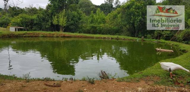 Área 3.500m² em contenta - Foto 20