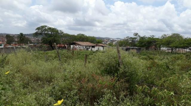 2 Lotes Com ótima Localização - Gravatá/PE / Propriedade ID : L0483 - Foto 2