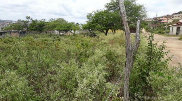 2 Lotes Com ótima Localização - Gravatá/PE / Propriedade ID : L0483 - Foto 7