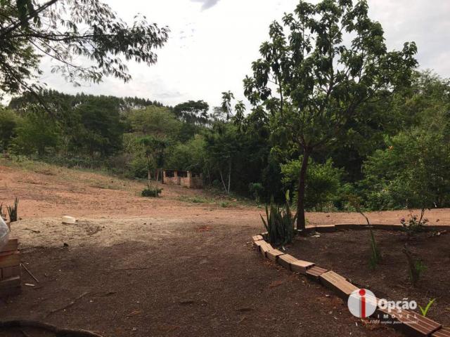 Chácara com 2 dormitórios à venda, 10000 m² por r$ 180.000,00 - residencial são vicente - - Foto 4