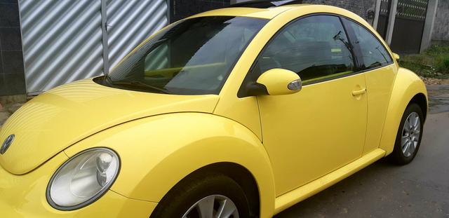 New beetle