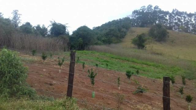 Sitio 10 alqueires margem rio paraíba local sem poluição estuda permuta até 50% vlr - Foto 20