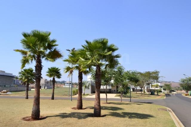 Terreno a venda no condomínio Buganvile. Bairro Jardim Olhos D´ Água. - Foto 6