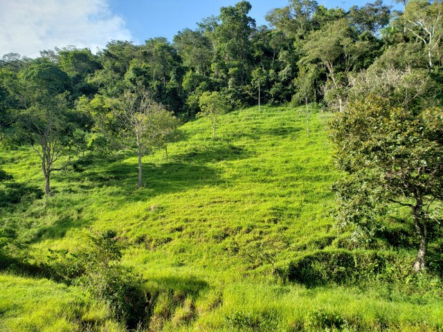 Bela fazendinha em Alexania  - Foto 3