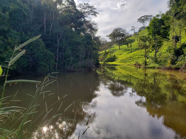 Bela fazendinha em Alexania 