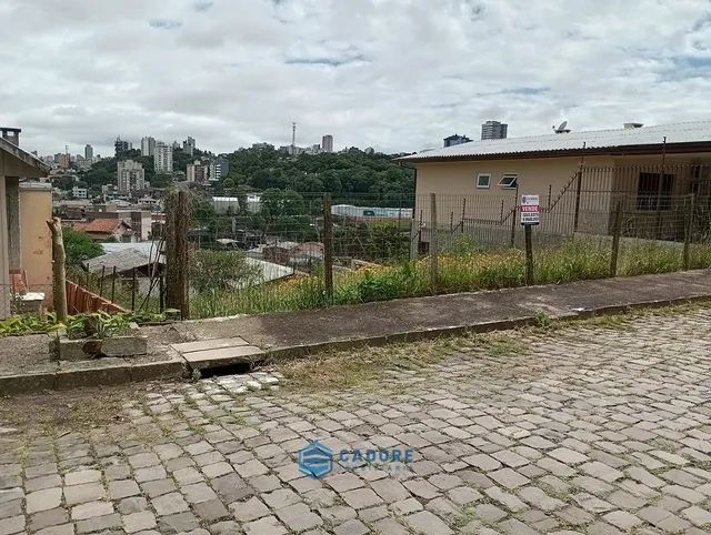 Terreno no Salgado Filho - Foto 3