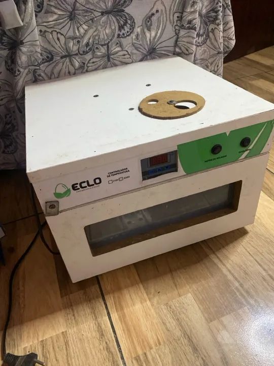 Chocadeira para ovos Eclo