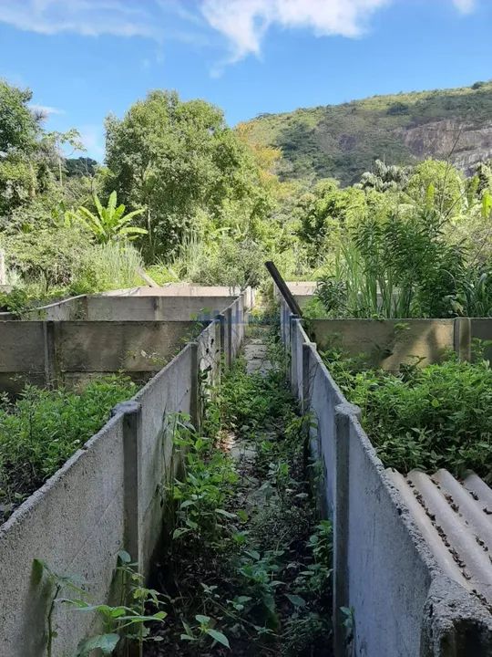 Vargem Pequena | Sítio - Foto 7