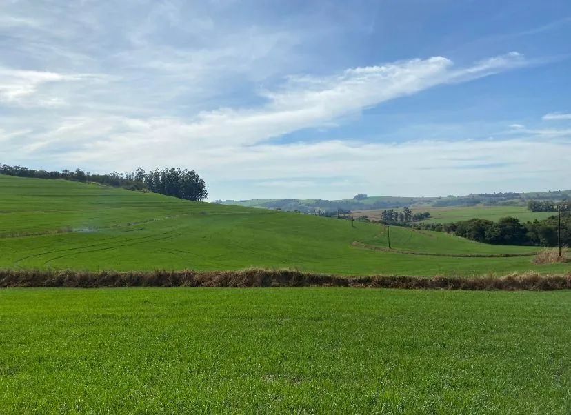 Área Marilândia  do Sul  - Foto 5