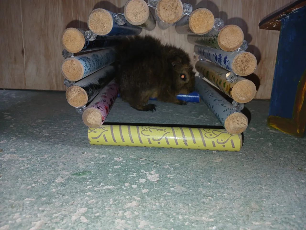 Venda, promoção de natal  - Foto 2