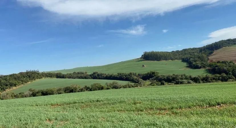 Área Marilândia  do Sul  - Foto 4
