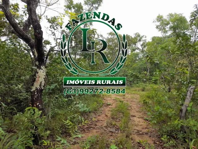 Chácara 5.5 Alqueires Beira do Rio Balsas - Foto 4