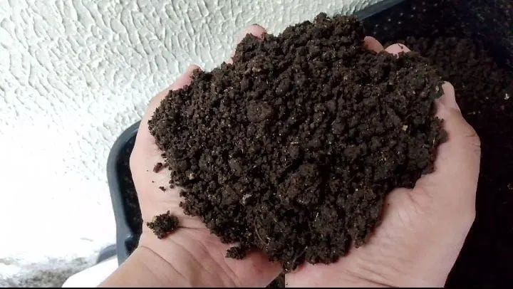 Húmus Toca da Minhoca - 1kg - Adubo Orgânico - 100% Natural - Foto 4