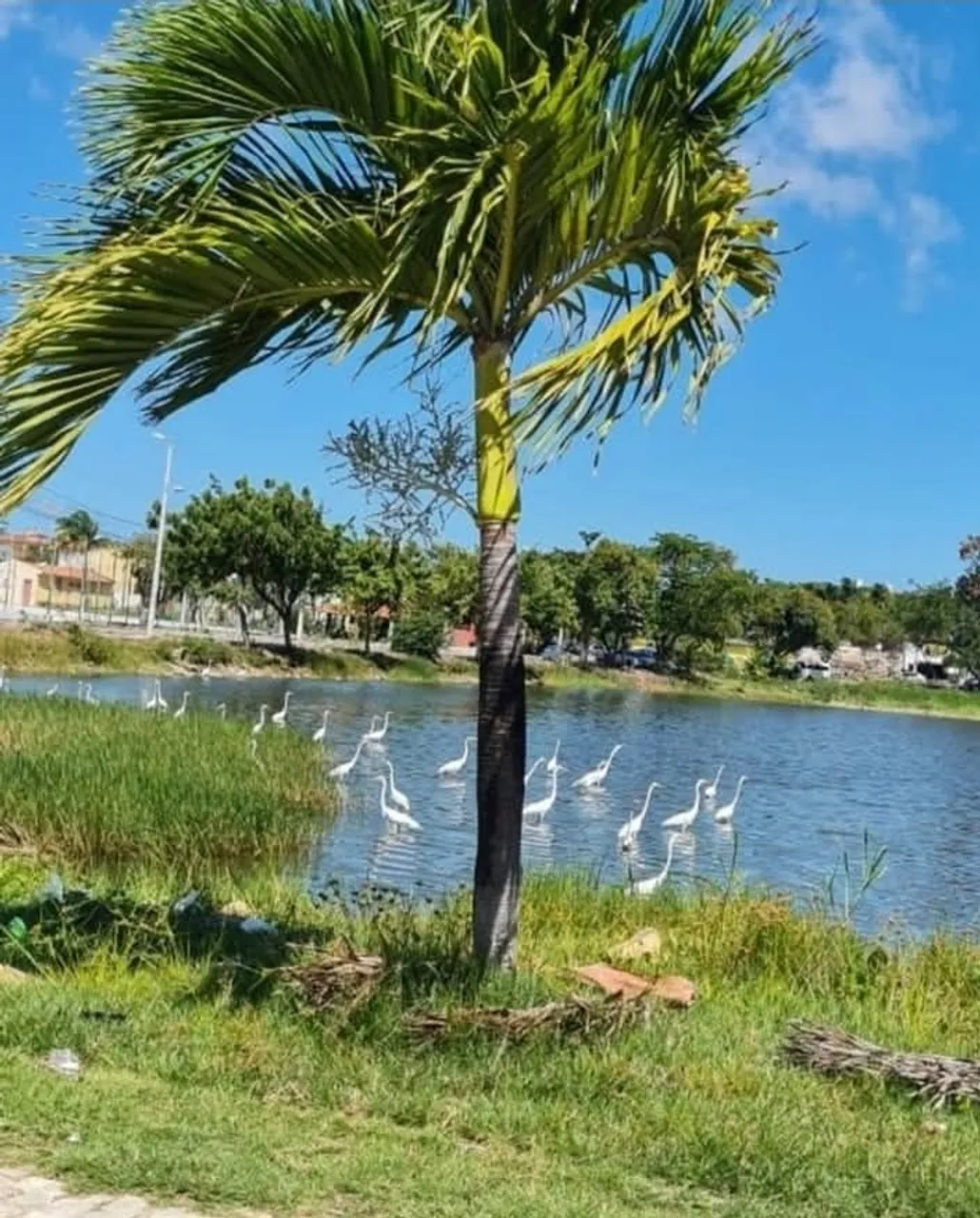 Casa dúplex no bairro Cajazeiras pronta para financiar