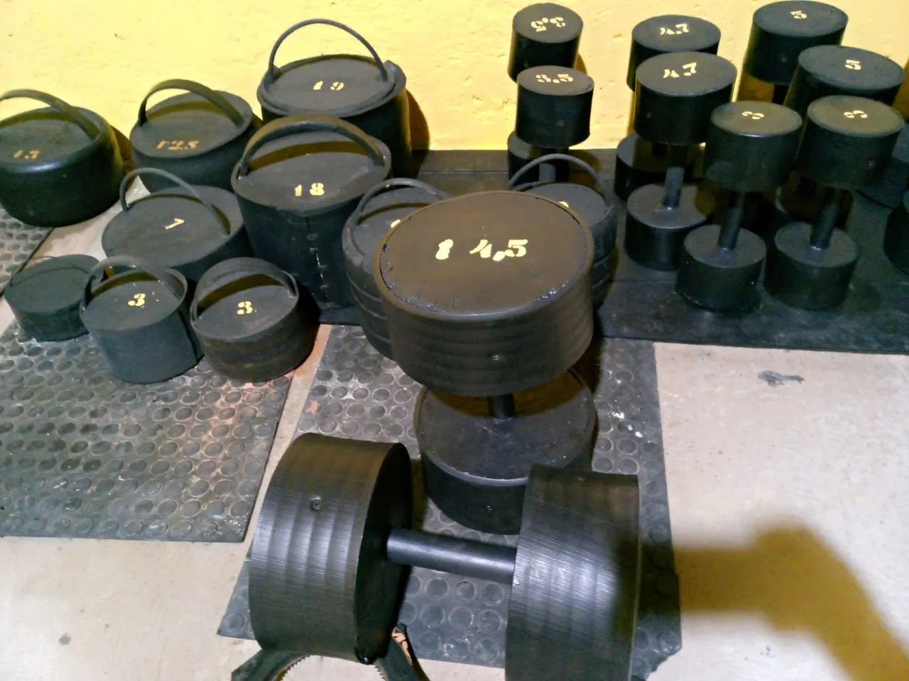 Barras e anilhas para musculação em casa ?