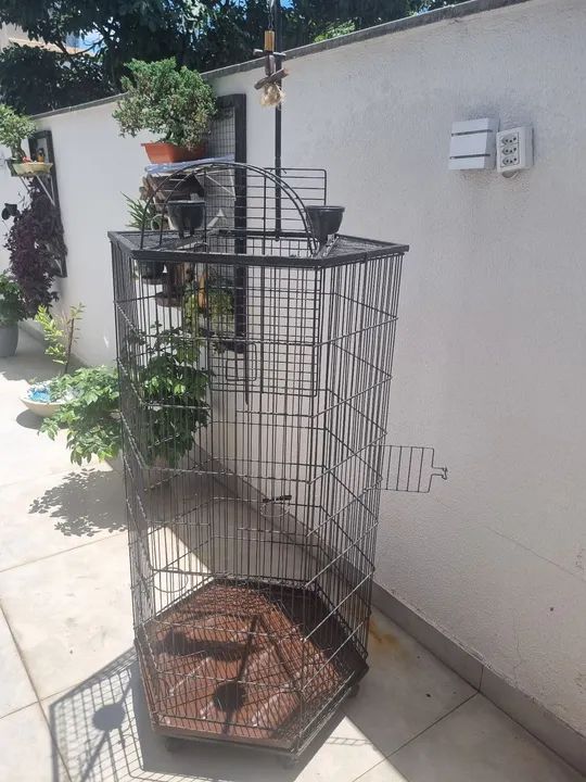 Viveiro grande,  - Foto 3