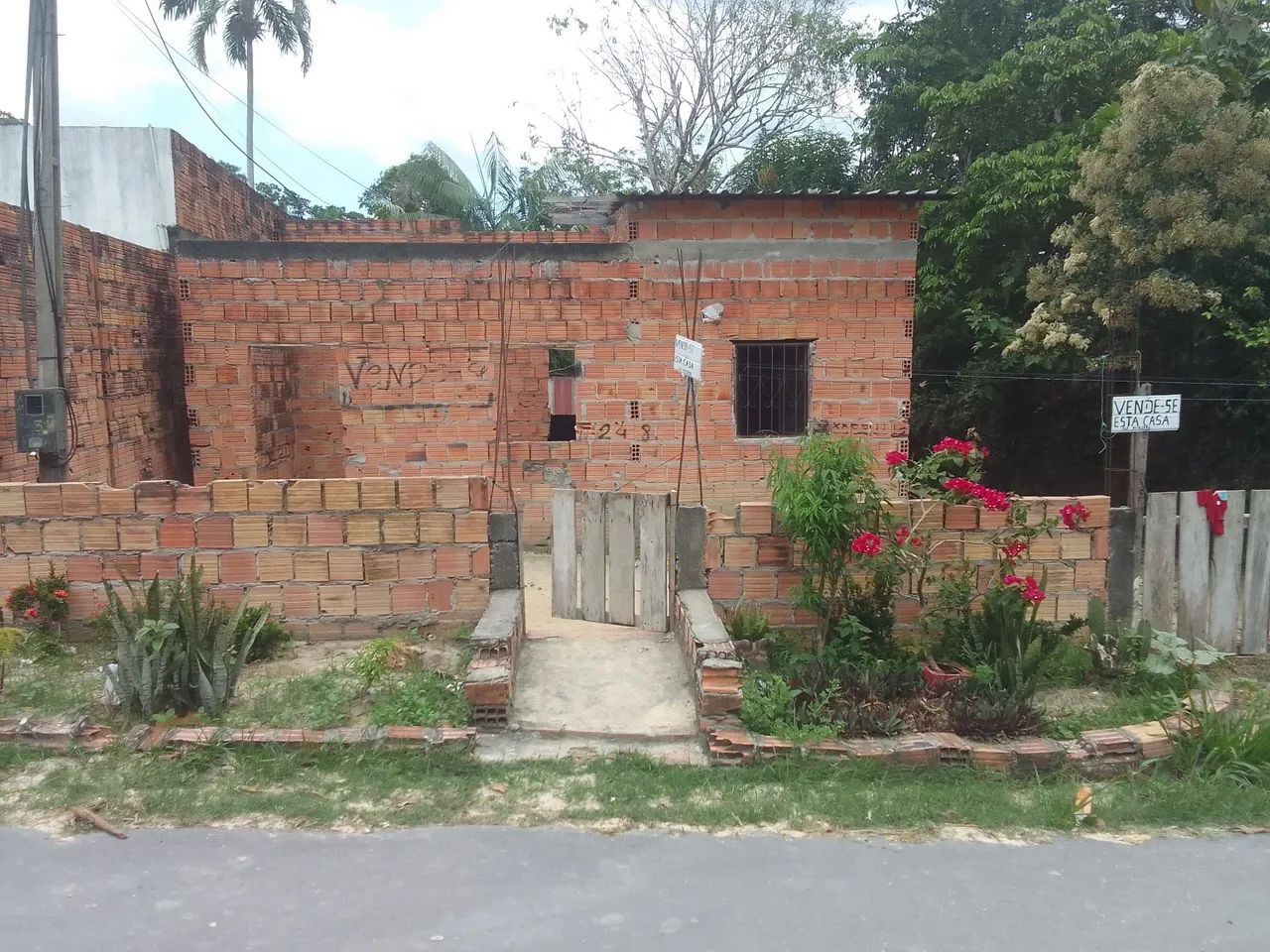Foto - Manaus - Lago Azul