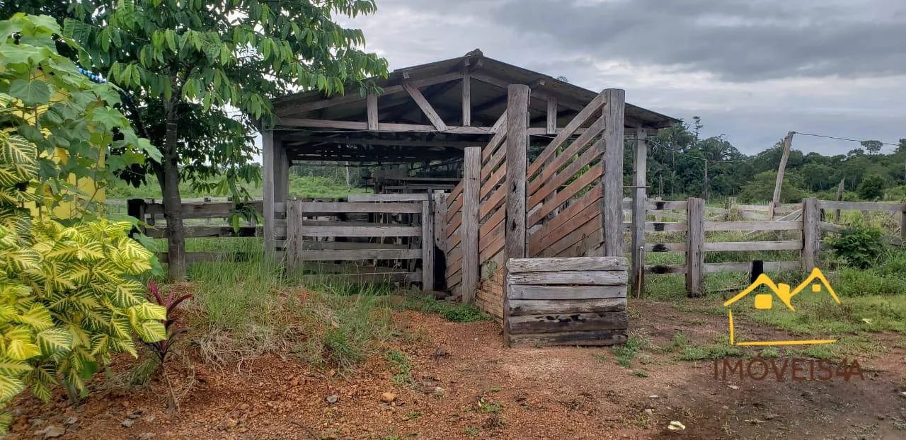 (Vende-se) Fazenda com 6130000 m² por R$ 5.526.000,00 - Centro - Canutama/AM - Foto 4