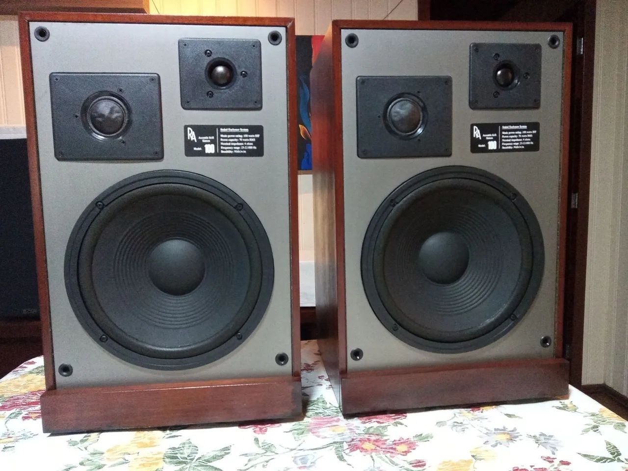 Caixas de Som RA-100 hi-fi 