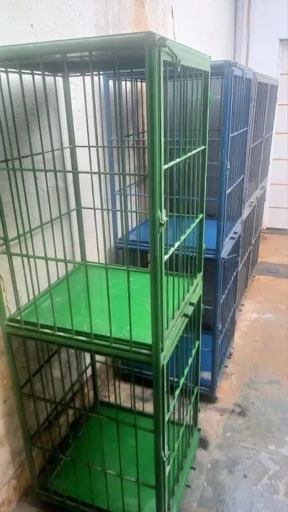 Vendo equipamentos para banho e tosa .