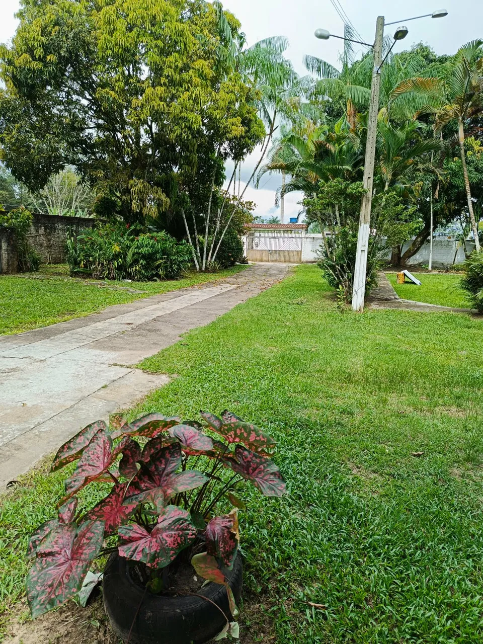 CHÁCARA EM MARITUBA