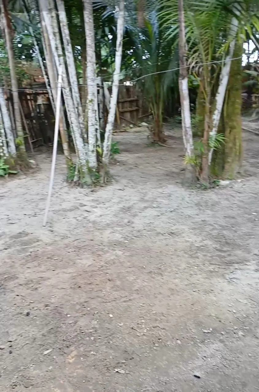 Quero vender essa linda casa com terreno medindo 70 de fundo e 20 de frente bel loca