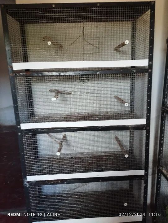 Gaiola para pássaros em ótimo estado