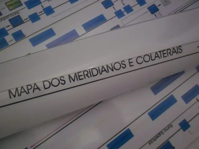 Mapa Acupuntura - Todos os meridianos, Eixos, Ramificações e Ramos - Foto 5