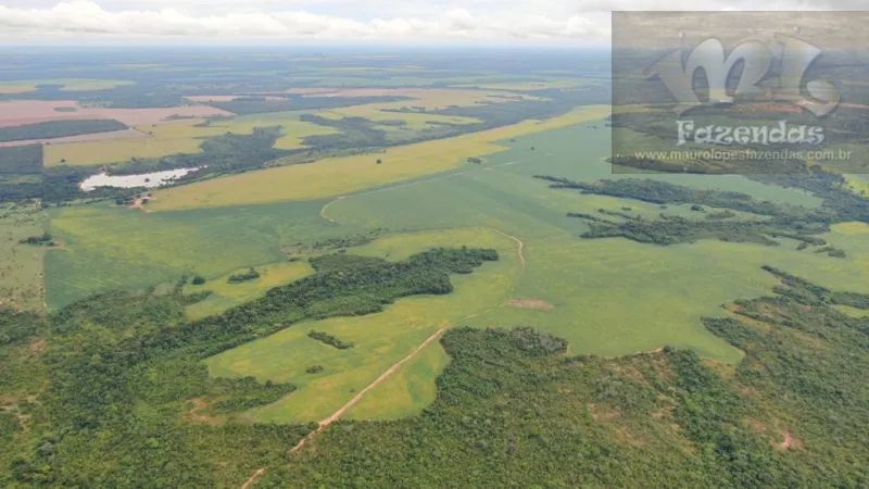 FAZ 374 - Fazenda na Região de Gurupi  Sul do Tocantins  4.791 hect - Foto 2