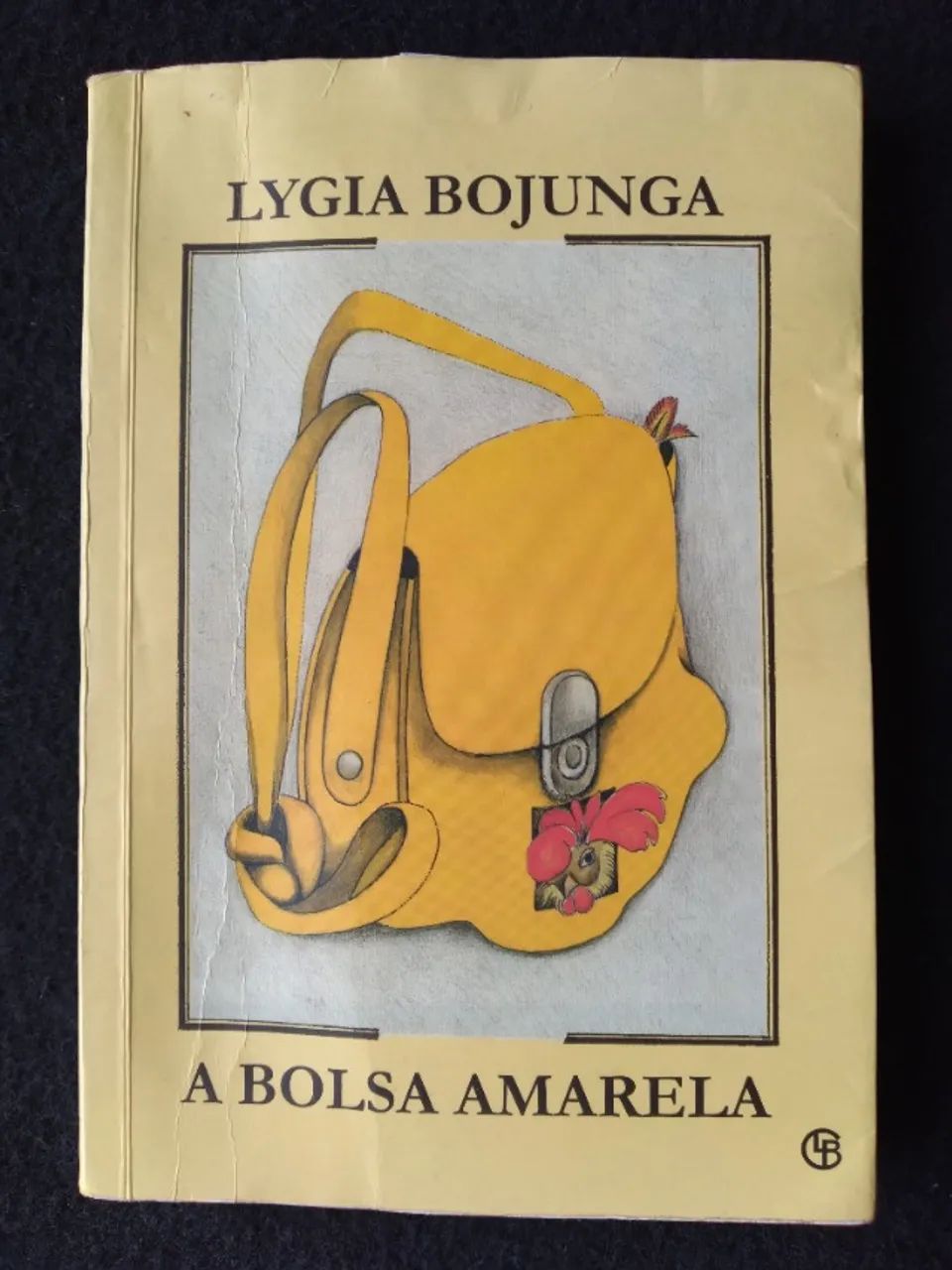 livro, A bolsa  amarela 
