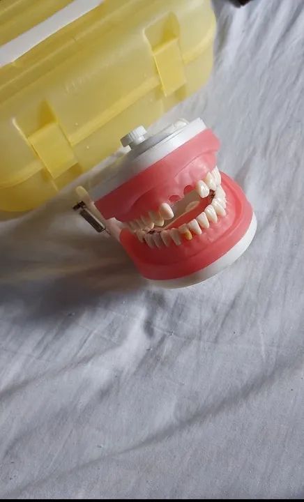 MANEQUIM DENTÍSTICA PRONEW.  - Foto 4