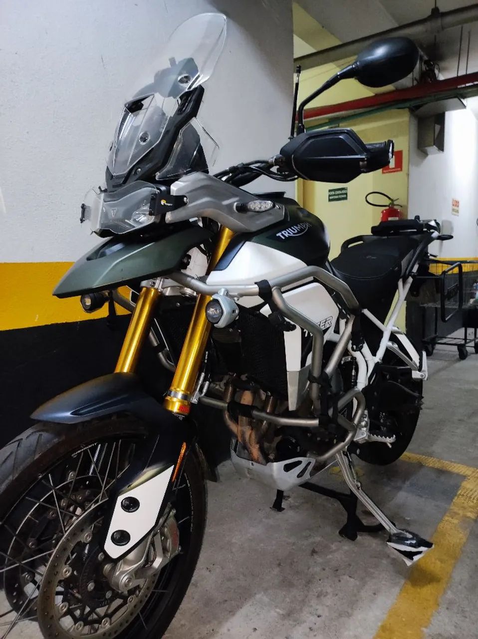 Tiger 900 Rally Pro 
