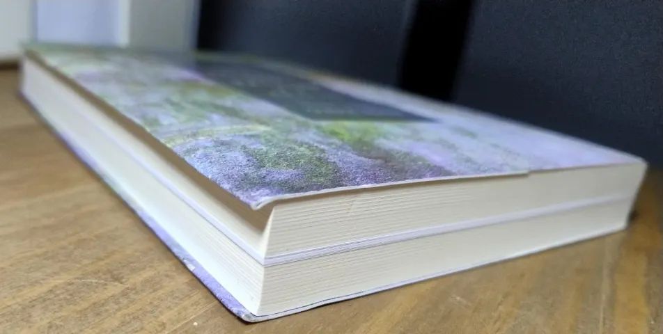 Monet e a Pintura das Ninfeias. Ross King. NOVO!!! - Foto 3