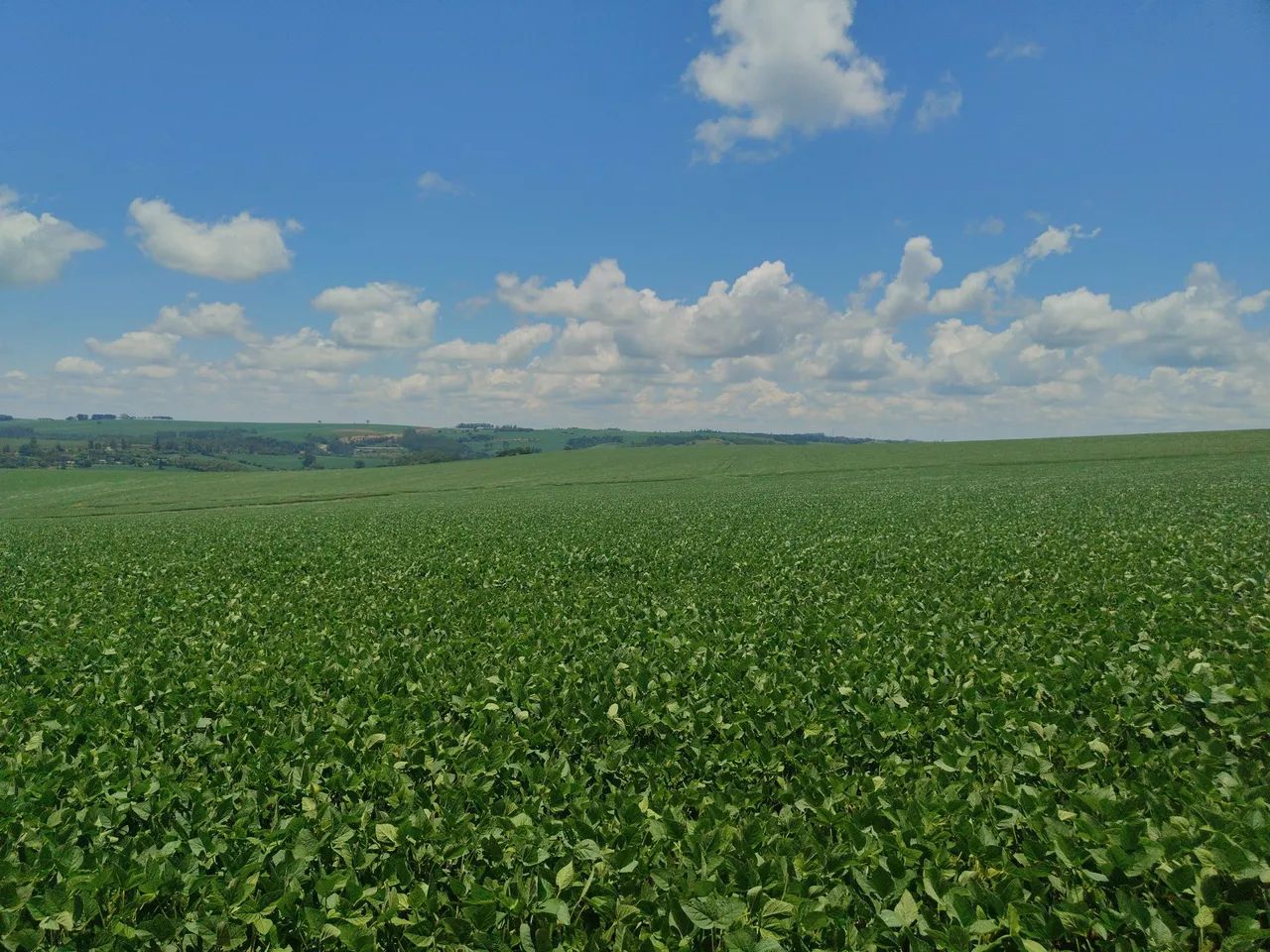Fazenda com 80.75 alqueiro  - Foto 2