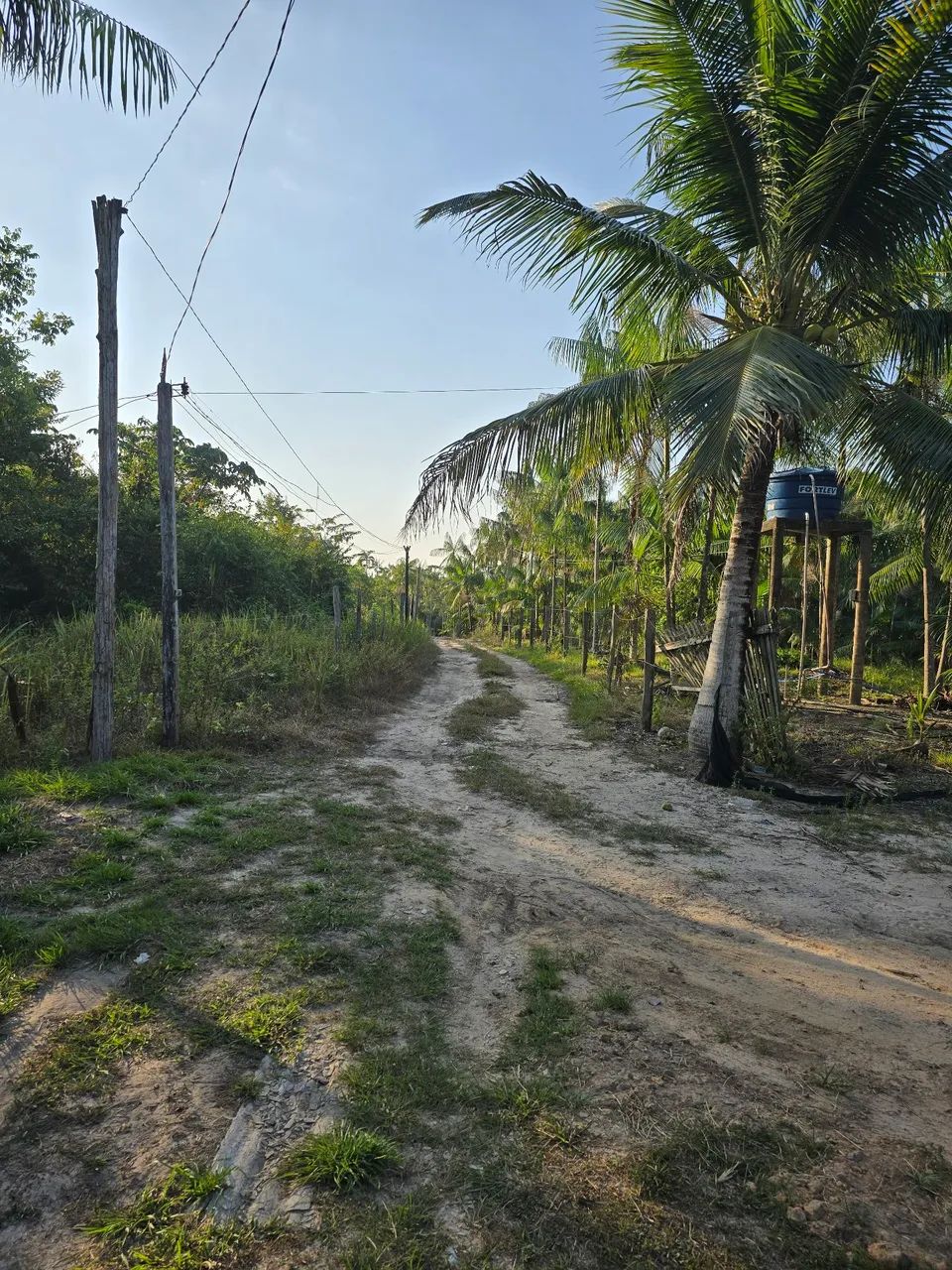 Vendo sítio no Baixo Acará  - Foto 4