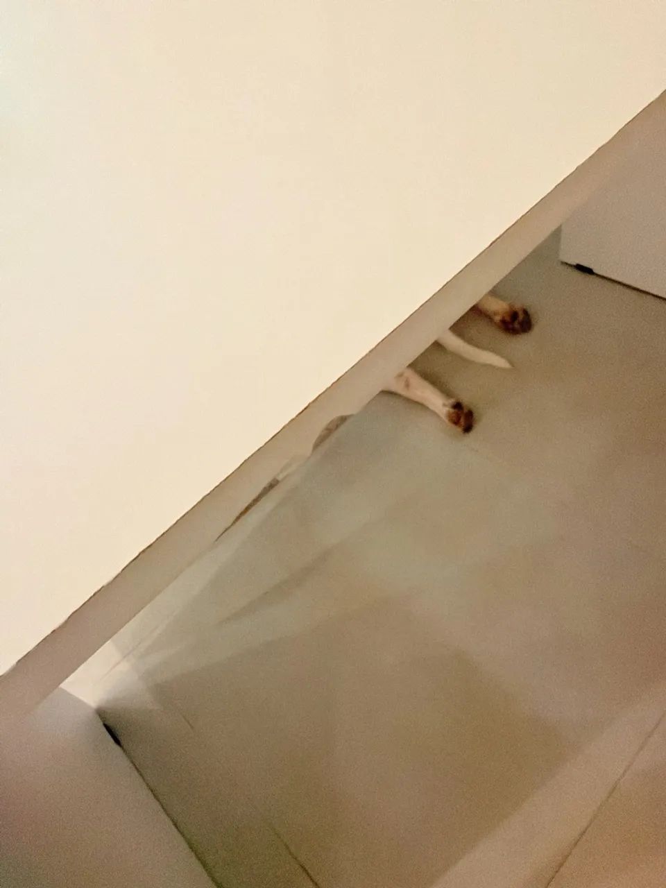 Mesa de escritório  - Foto 5