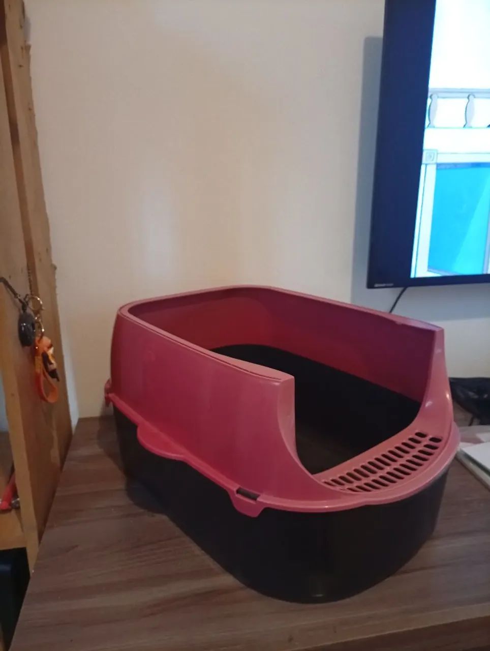 Caixa areia gato 