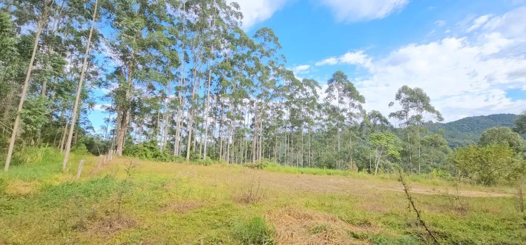 Terreno rural para chácara - Aguas Mornas