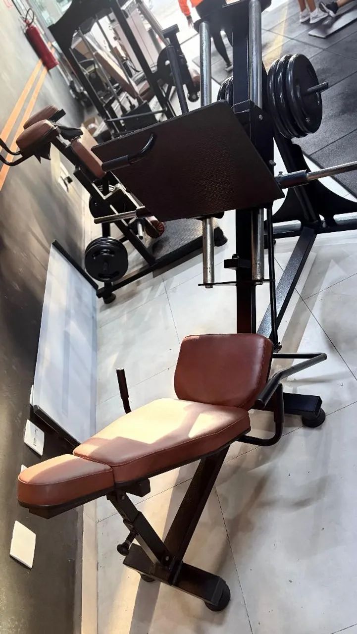 Leg Press 
