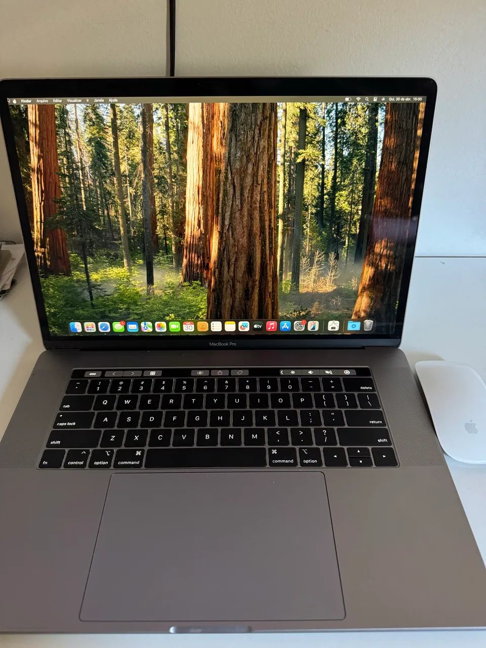 MacBook Pro + Magic Mouse - Notebooks - Santa Terezinha De Itaipu