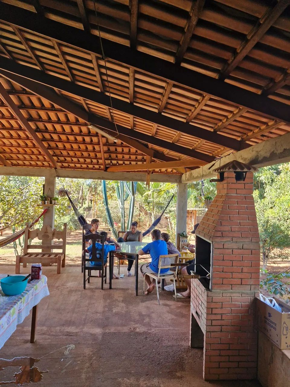 Vendo Sítio em Trindade GO - Foto 5