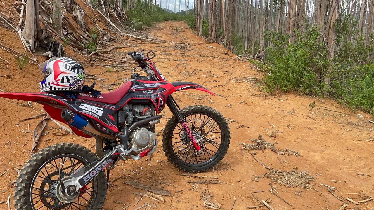 Crf 230  - Foto 2