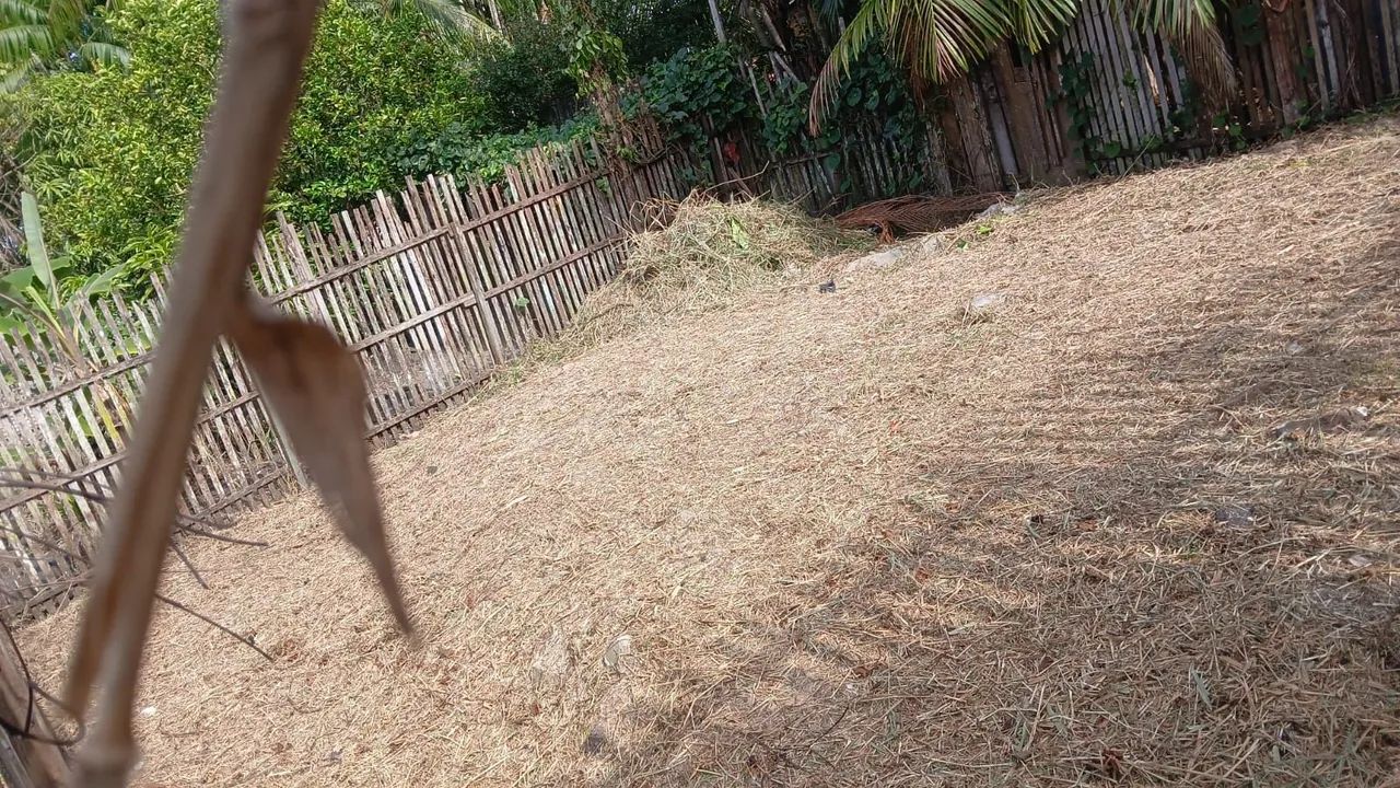 Terreno 8x8  - Foto 4